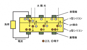 fig01