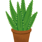 plant_aloe